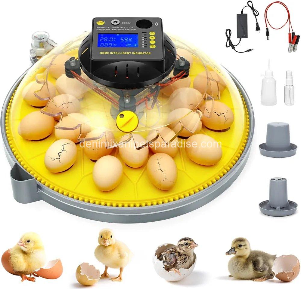 24 Eggs Incubator with Temperature and Humidity Display, Automatic Egg Turning, 1 24 Eggs Incubator with Temperature and Humidity Display, Automatic Egg Turning,