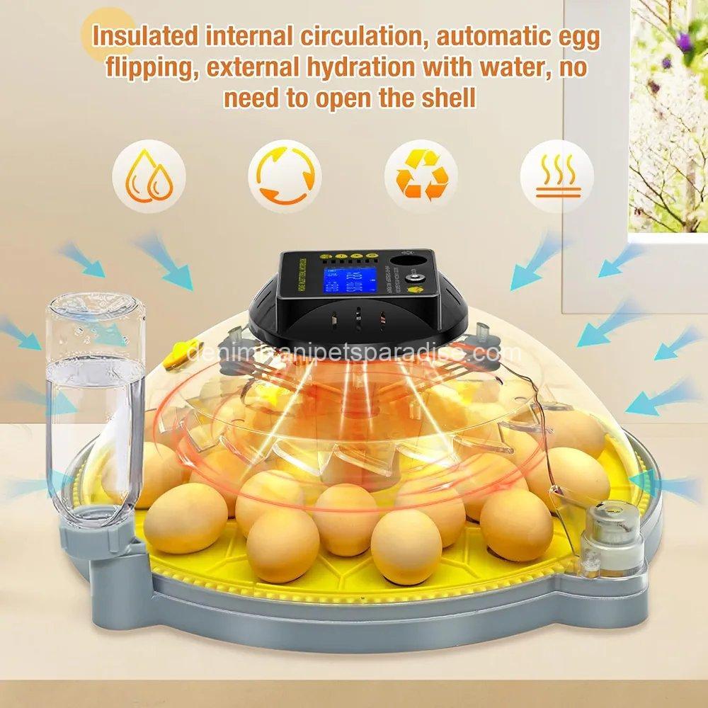 24 Eggs Incubator with Temperature and Humidity Display, Automatic Egg Turning, 5 24 Eggs Incubator with Temperature and Humidity Display, Automatic Egg Turning, - Image 5