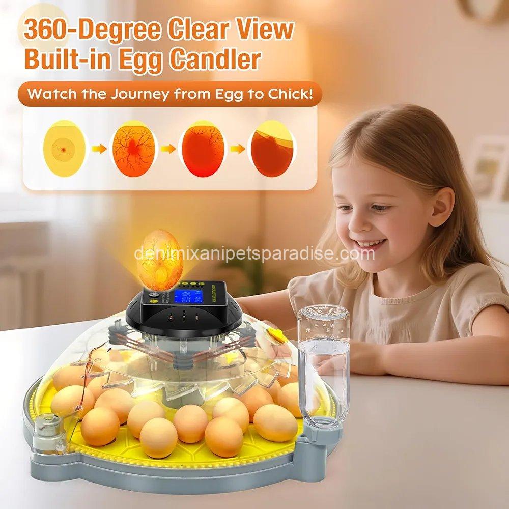 24 Eggs Incubator with Temperature and Humidity Display, Automatic Egg Turning, 4 24 Eggs Incubator with Temperature and Humidity Display, Automatic Egg Turning, - Image 4