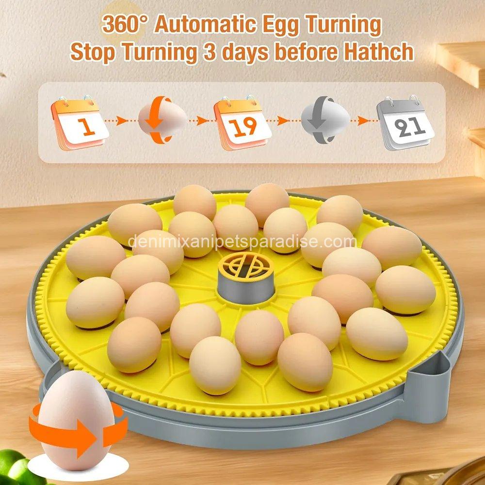 24 Eggs Incubator with Temperature and Humidity Display, Automatic Egg Turning, 3 24 Eggs Incubator with Temperature and Humidity Display, Automatic Egg Turning, - Image 3