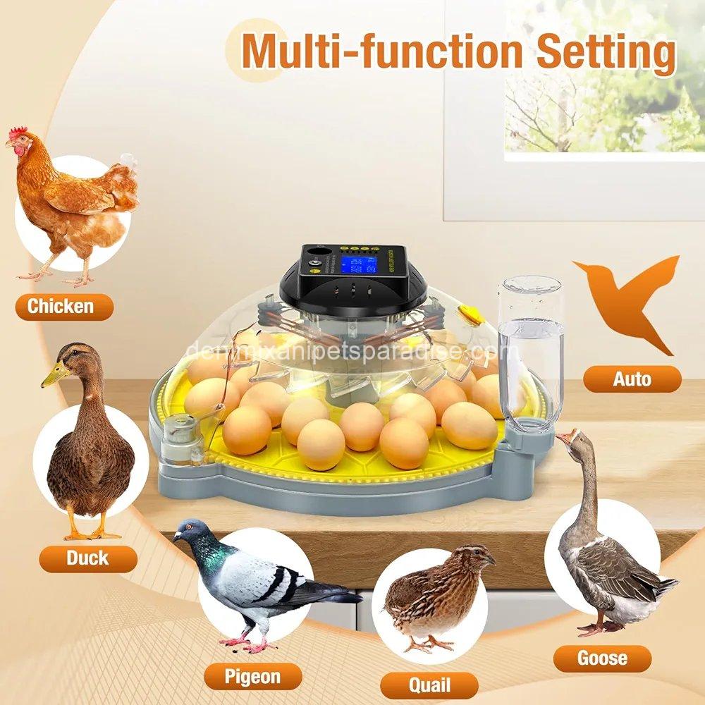 24 Eggs Incubator with Temperature and Humidity Display, Automatic Egg Turning, 6 24 Eggs Incubator with Temperature and Humidity Display, Automatic Egg Turning, - Image 6