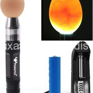 Powerful Professional LED Light Egg Candler Incubator Stainless Steel Tester for All Egg Type