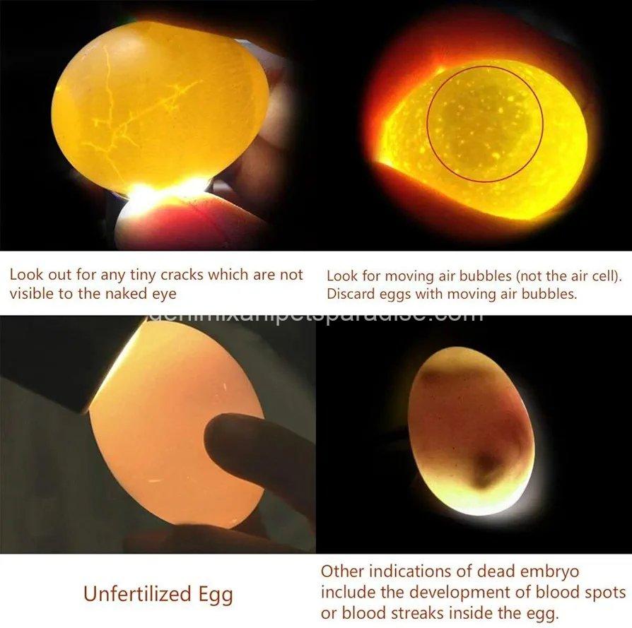 Powerful Professional LED Light Egg Candler Incubator Stainless Steel Tester for All Egg Type 2 Powerful Professional LED Light Egg Candler Incubator Stainless Steel Tester for All Egg Type - Image 2