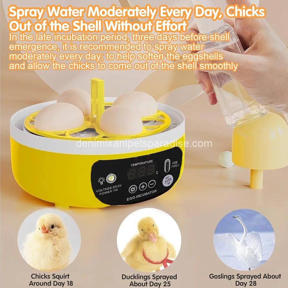 4 Eggs Mini Incubator with Transparent Lid,7W Automatic Temperature Humidity Control 4 4 Eggs Mini Incubator with Transparent Lid,7W Automatic Temperature Humidity Control - Image 4