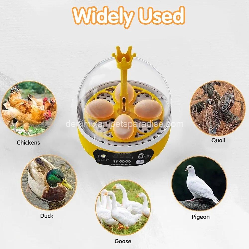 4 Eggs Mini Incubator with Transparent Lid,7W Automatic Temperature Humidity Control 6 4 Eggs Mini Incubator with Transparent Lid,7W Automatic Temperature Humidity Control - Image 6