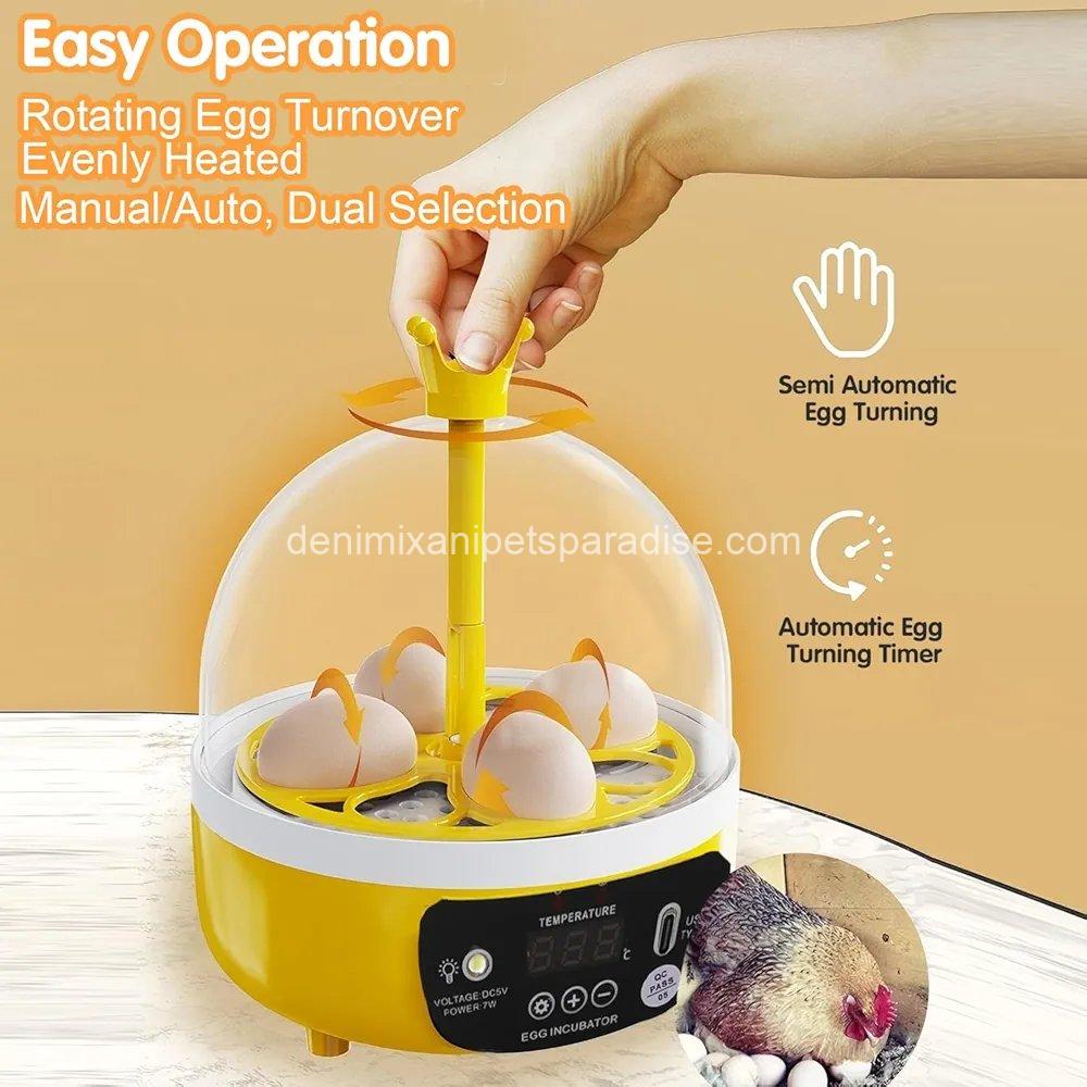4 Eggs Mini Incubator with Transparent Lid,7W Automatic Temperature Humidity Control 1 4 Eggs Mini Incubator with Transparent Lid,7W Automatic Temperature Humidity Control