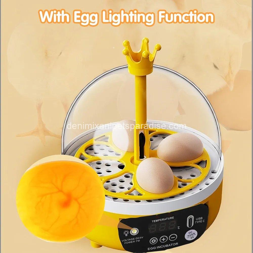 4 Eggs Mini Incubator with Transparent Lid,7W Automatic Temperature Humidity Control 2 4 Eggs Mini Incubator with Transparent Lid,7W Automatic Temperature Humidity Control - Image 2