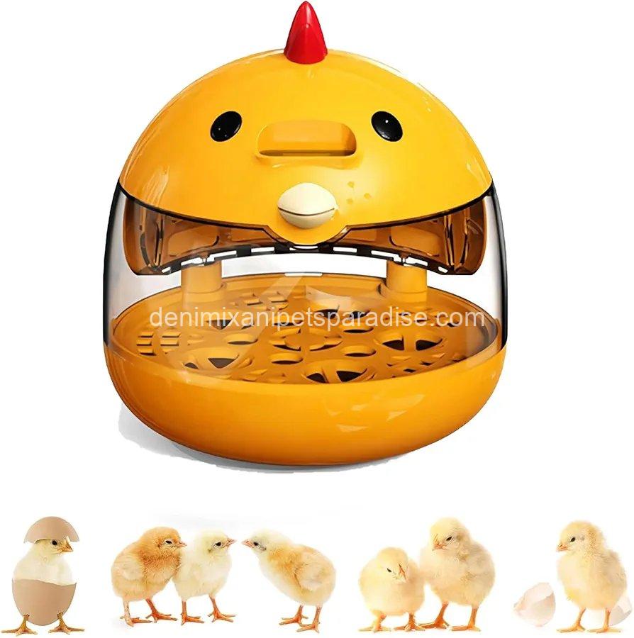 Egg Incubator, Hatching Machine, Chicken Quail Eggs Incubator, Hatching Machine for Duck, Quail, 7 Egg Incubator, Hatching Machine, Chicken Quail Eggs Incubator, Hatching Machine for Duck, Quail, - Image 7
