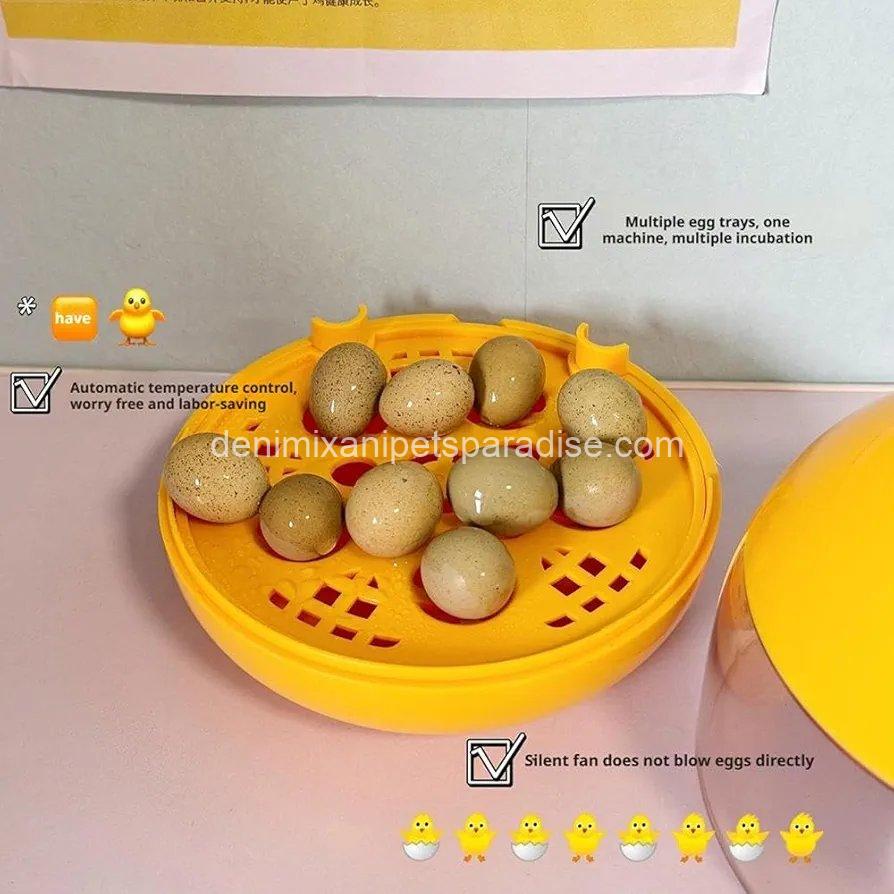 Egg Incubator, Hatching Machine, Chicken Quail Eggs Incubator, Hatching Machine for Duck, Quail, 9 Egg Incubator, Hatching Machine, Chicken Quail Eggs Incubator, Hatching Machine for Duck, Quail, - Image 9