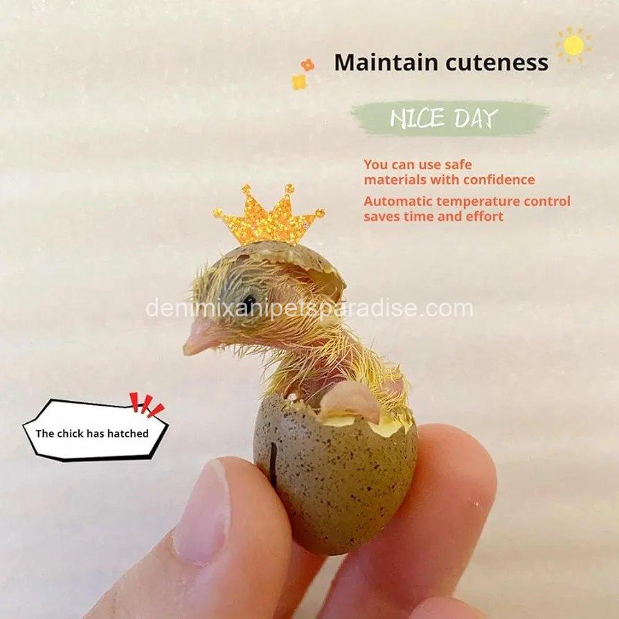 Egg Incubator, Hatching Machine, Chicken Quail Eggs Incubator, Hatching Machine for Duck, Quail, 3 Egg Incubator, Hatching Machine, Chicken Quail Eggs Incubator, Hatching Machine for Duck, Quail, - Image 3