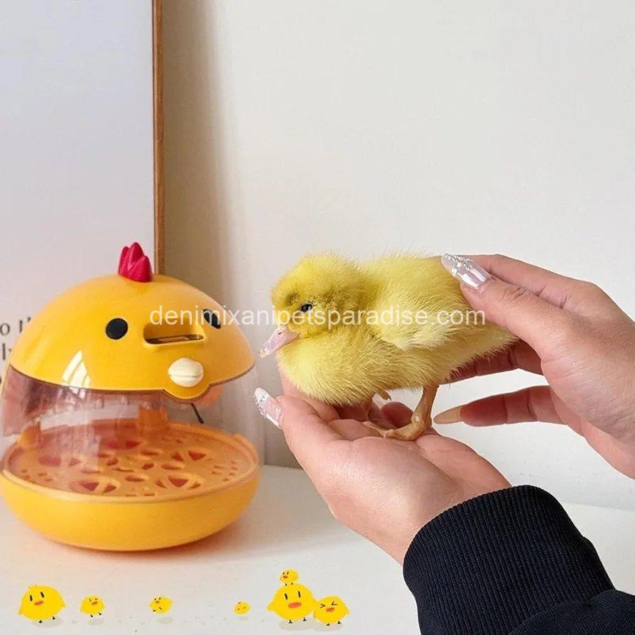 Egg Incubator, Hatching Machine, Chicken Quail Eggs Incubator, Hatching Machine for Duck, Quail, 2 Egg Incubator, Hatching Machine, Chicken Quail Eggs Incubator, Hatching Machine for Duck, Quail, - Image 2