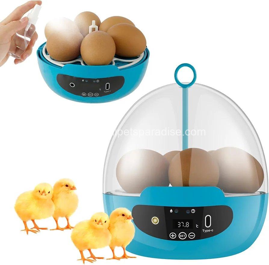 Egg Incubator Smart Egg Incubator for Hatching 6 Eggs Chicken Incubator  4 Egg Incubator Smart Egg Incubator for Hatching 6 Eggs Chicken Incubator  - Image 4