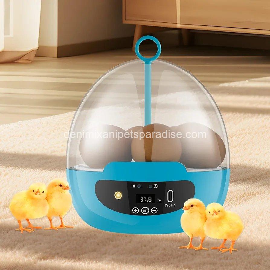 Egg Incubator Smart Egg Incubator for Hatching 6 Eggs Chicken Incubator  2 Egg Incubator Smart Egg Incubator for Hatching 6 Eggs Chicken Incubator  - Image 2
