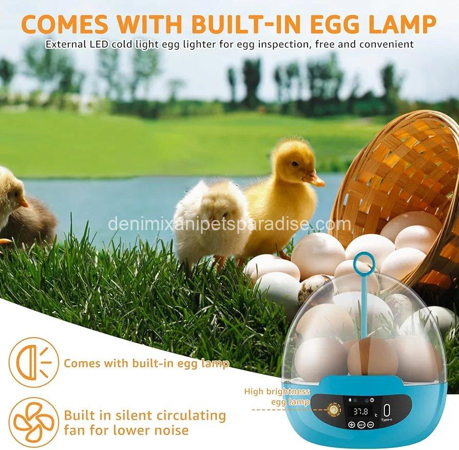 Egg Incubator Smart Egg Incubator for Hatching 6 Eggs Chicken Incubator  8 Egg Incubator Smart Egg Incubator for Hatching 6 Eggs Chicken Incubator  - Image 8