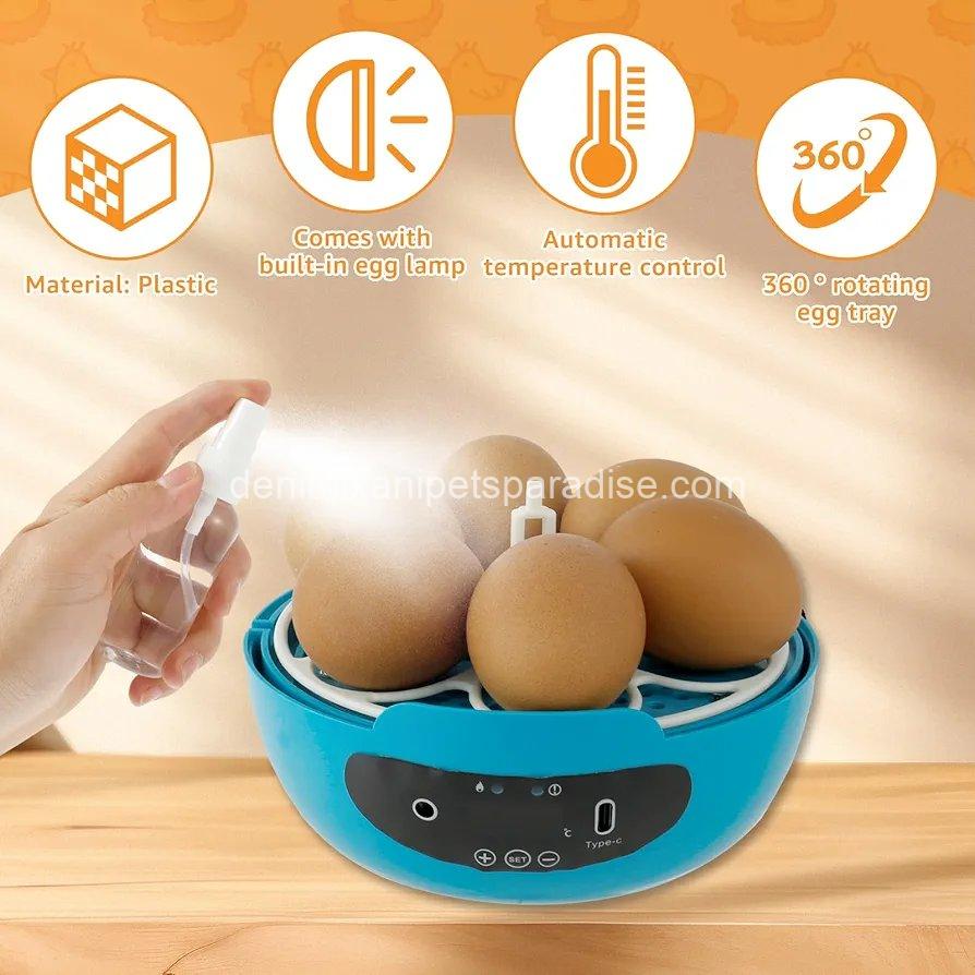 Egg Incubator Smart Egg Incubator for Hatching 6 Eggs Chicken Incubator  6 Egg Incubator Smart Egg Incubator for Hatching 6 Eggs Chicken Incubator  - Image 6
