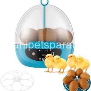 Egg Incubator Smart Egg Incubator for Hatching 6 Eggs Chicken Incubator 
