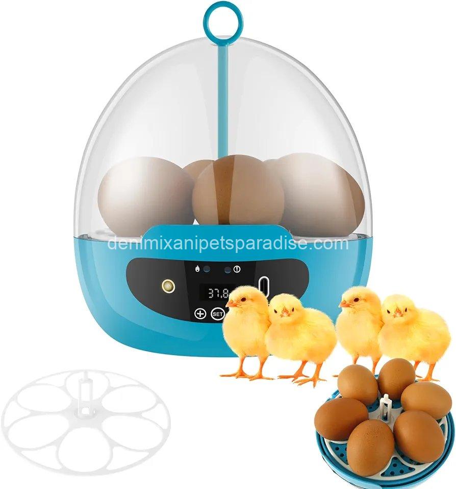 Egg Incubator Smart Egg Incubator for Hatching 6 Eggs Chicken Incubator  1 Egg Incubator Smart Egg Incubator for Hatching 6 Eggs Chicken Incubator