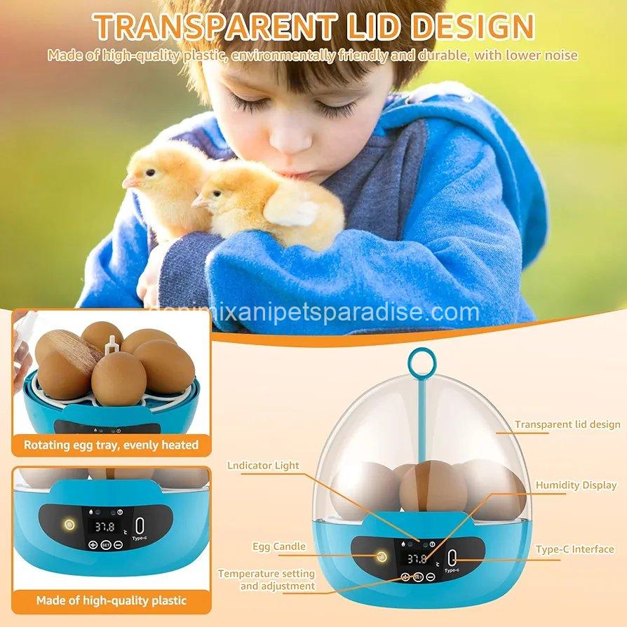 Egg Incubator Smart Egg Incubator for Hatching 6 Eggs Chicken Incubator  7 Egg Incubator Smart Egg Incubator for Hatching 6 Eggs Chicken Incubator  - Image 7