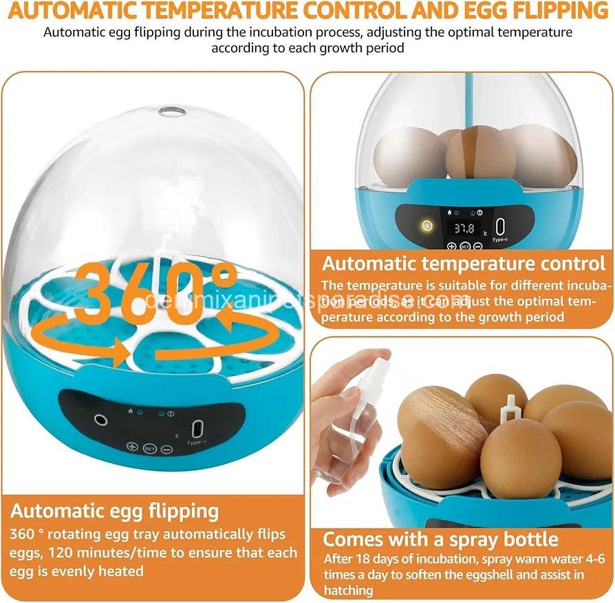 Egg Incubator Smart Egg Incubator for Hatching 6 Eggs Chicken Incubator  9 Egg Incubator Smart Egg Incubator for Hatching 6 Eggs Chicken Incubator  - Image 9