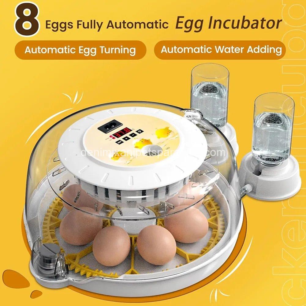 8 Egg Incubators for Hatching Eggs, Automatic Egg Turner and Egg Candle Tester, 5 8 Egg Incubators for Hatching Eggs, Automatic Egg Turner and Egg Candle Tester, - Image 5