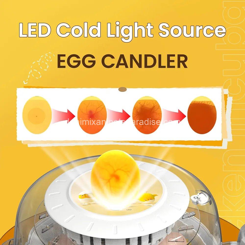 8 Egg Incubators for Hatching Eggs, Automatic Egg Turner and Egg Candle Tester, 4 8 Egg Incubators for Hatching Eggs, Automatic Egg Turner and Egg Candle Tester, - Image 4