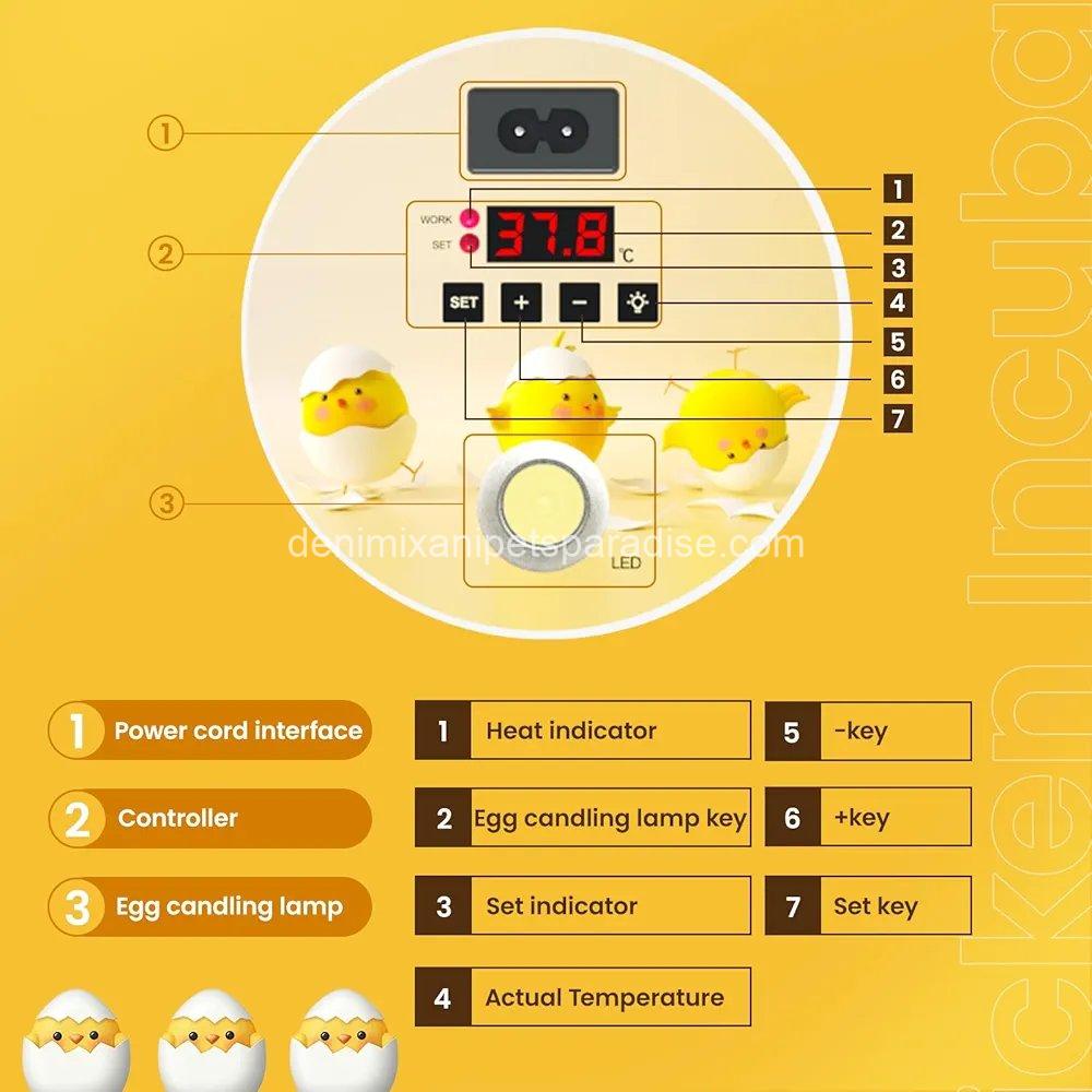 8 Egg Incubators for Hatching Eggs, Automatic Egg Turner and Egg Candle Tester, 7 8 Egg Incubators for Hatching Eggs, Automatic Egg Turner and Egg Candle Tester, - Image 7
