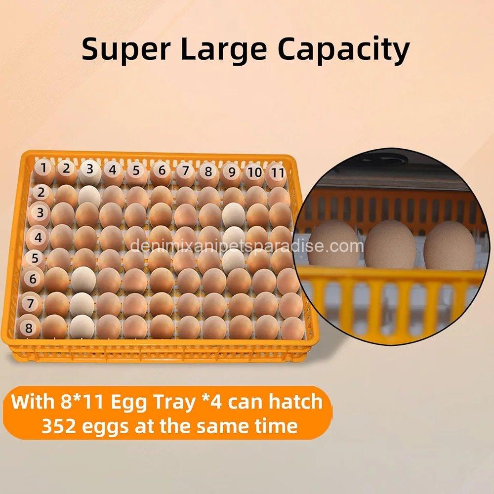 XKV 352 Egg Incubator with Automatic Egg Turning,Temperature Control and Humidity Control,Hatching Eggs,Chicken, 2 XKV 352 Egg Incubator with Automatic Egg Turning,Temperature Control and Humidity Control,Hatching Eggs,Chicken, - Image 2