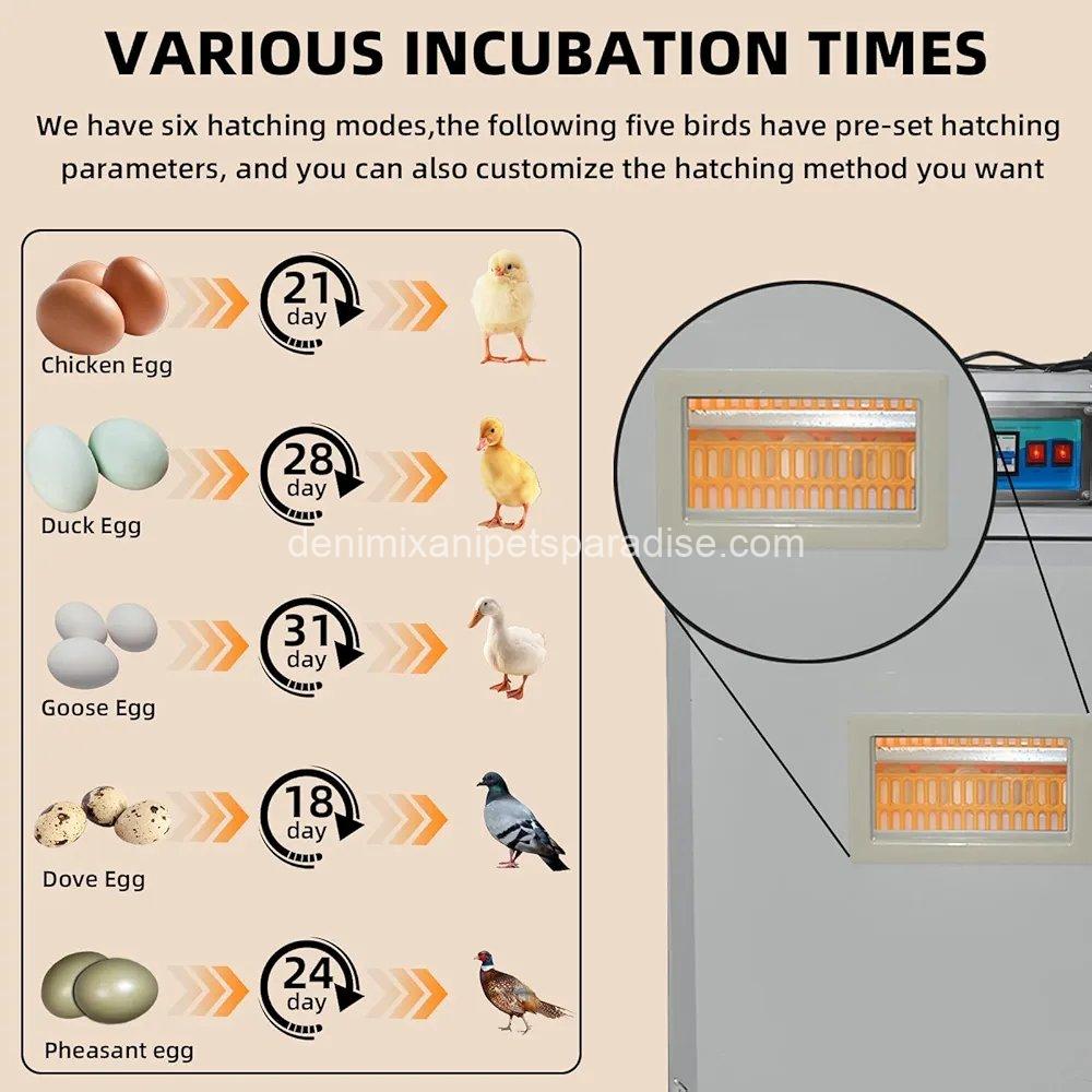 XKV 352 Egg Incubator with Automatic Egg Turning,Temperature Control and Humidity Control,Hatching Eggs,Chicken, 5 XKV 352 Egg Incubator with Automatic Egg Turning,Temperature Control and Humidity Control,Hatching Eggs,Chicken, - Image 5