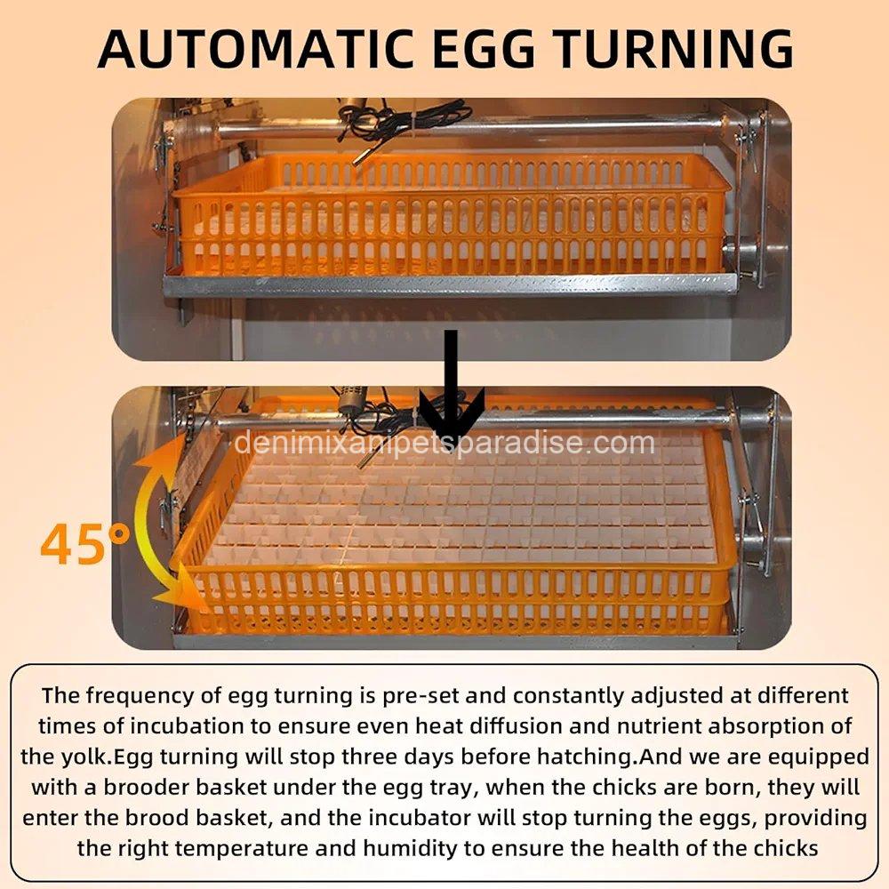 XKV 352 Egg Incubator with Automatic Egg Turning,Temperature Control and Humidity Control,Hatching Eggs,Chicken, 7 XKV 352 Egg Incubator with Automatic Egg Turning,Temperature Control and Humidity Control,Hatching Eggs,Chicken, - Image 7