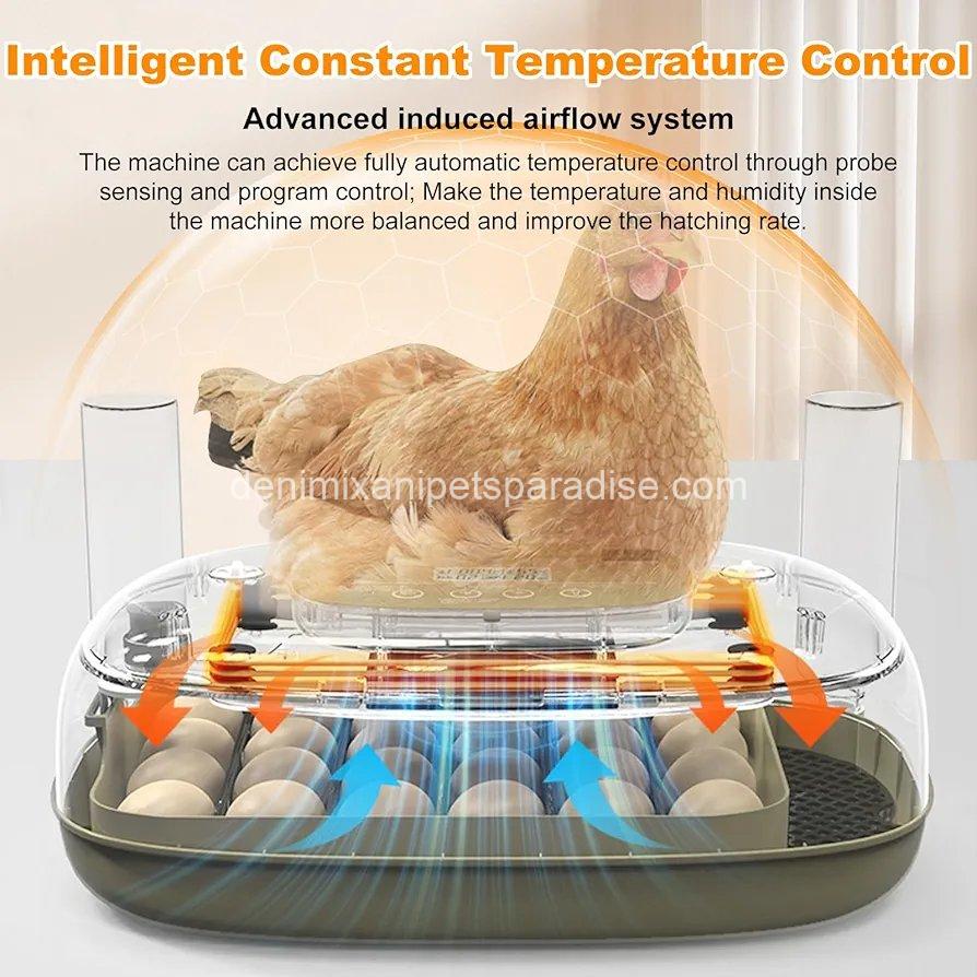 24 Egg Incubators for Hatching,Automatic Egg Turning and Temperature Control Humidity Display, 3 24 Egg Incubators for Hatching,Automatic Egg Turning and Temperature Control Humidity Display, - Image 3