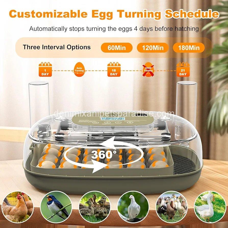 24 Egg Incubators for Hatching,Automatic Egg Turning and Temperature Control Humidity Display, 5 24 Egg Incubators for Hatching,Automatic Egg Turning and Temperature Control Humidity Display, - Image 5