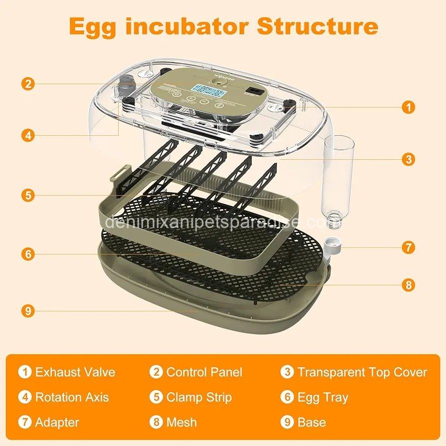 24 Egg Incubators for Hatching,Automatic Egg Turning and Temperature Control Humidity Display, 6 24 Egg Incubators for Hatching,Automatic Egg Turning and Temperature Control Humidity Display, - Image 6