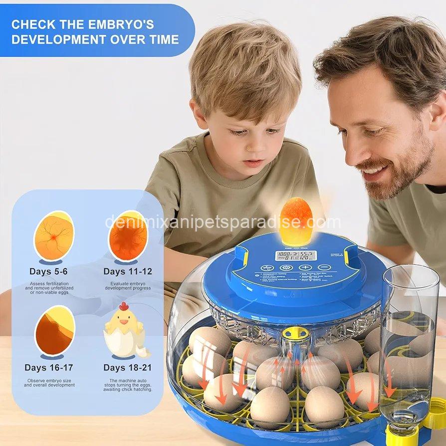 Skimzy Egg Incubator with Automatic Turning & Humidity Control 5 Skimzy Egg Incubator with Automatic Turning & Humidity Control - Image 5