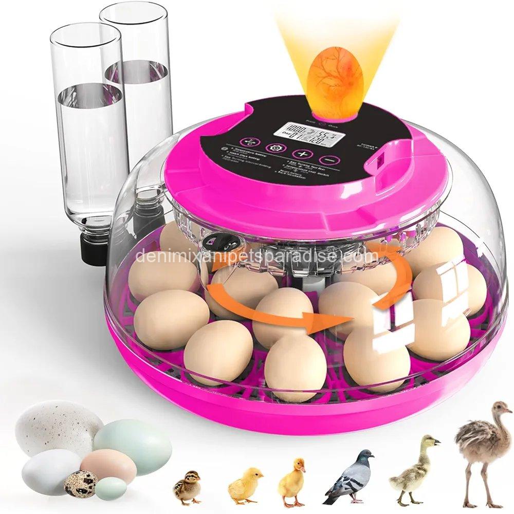 Incubator for Hatching Eggs, 18 Eggs Capacity, Incubators with Egg Candler,  1 Incubator for Hatching Eggs, 18 Eggs Capacity, Incubators with Egg Candler,