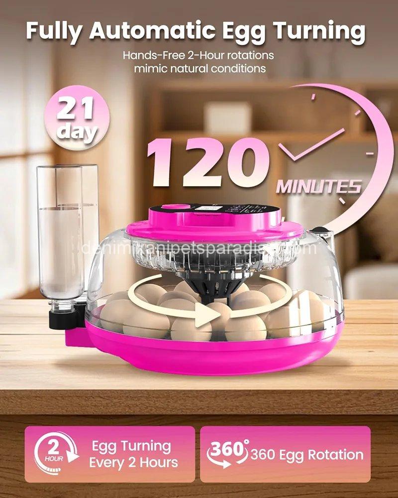 Incubator for Hatching Eggs, 18 Eggs Capacity, Incubators with Egg Candler,  6 Incubator for Hatching Eggs, 18 Eggs Capacity, Incubators with Egg Candler,  - Image 6