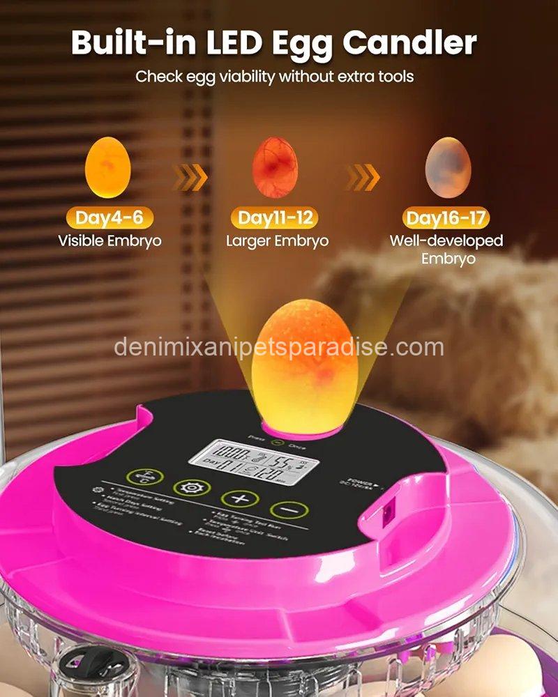 Incubator for Hatching Eggs, 18 Eggs Capacity, Incubators with Egg Candler,  7 Incubator for Hatching Eggs, 18 Eggs Capacity, Incubators with Egg Candler,  - Image 7