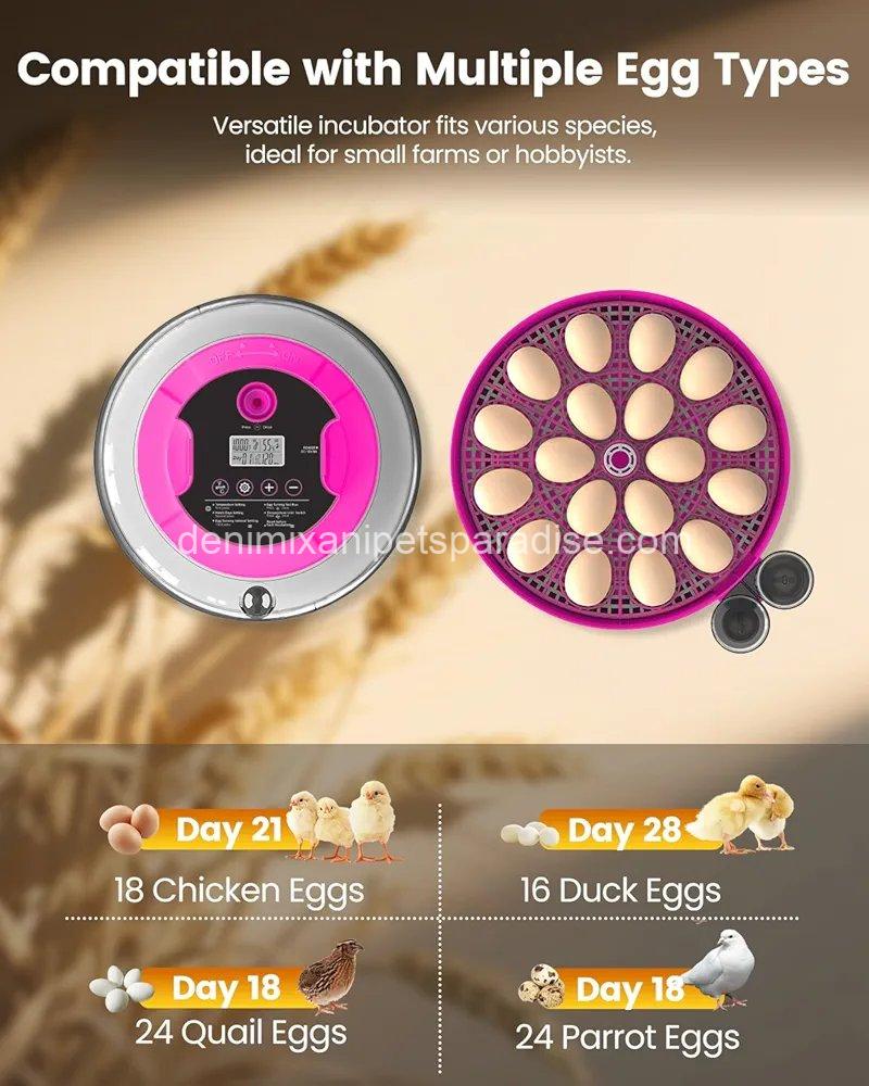 Incubator for Hatching Eggs, 18 Eggs Capacity, Incubators with Egg Candler,  3 Incubator for Hatching Eggs, 18 Eggs Capacity, Incubators with Egg Candler,  - Image 3