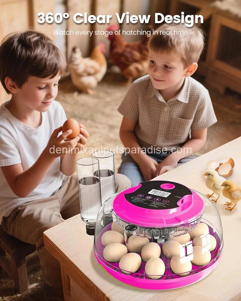 Incubator for Hatching Eggs, 18 Eggs Capacity, Incubators with Egg Candler,  4 Incubator for Hatching Eggs, 18 Eggs Capacity, Incubators with Egg Candler,  - Image 4